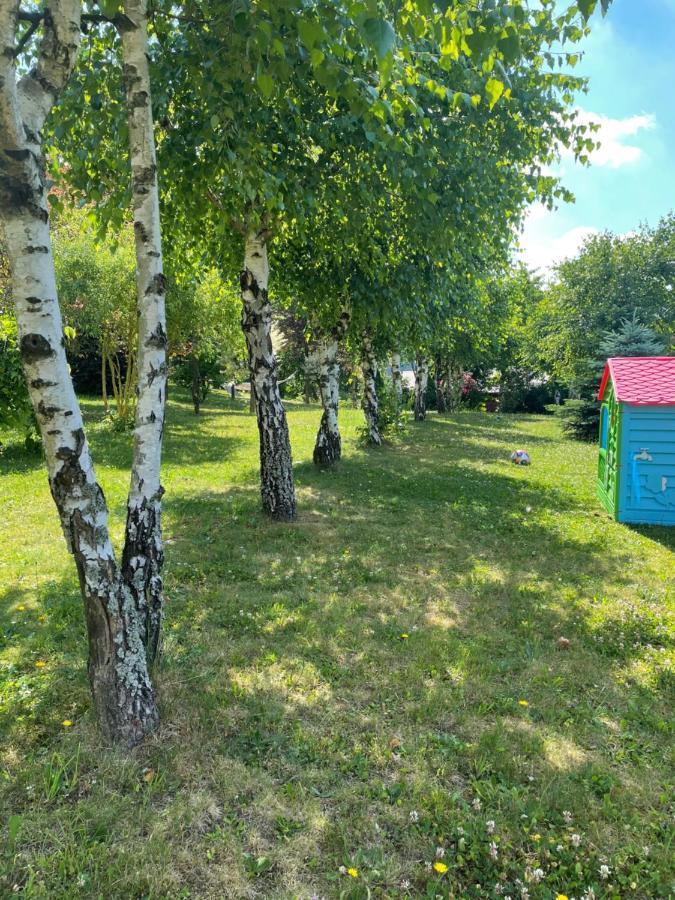 U Kowola - Gospodarstwo Agroturystyczne Weglowka  Buitenkant foto
